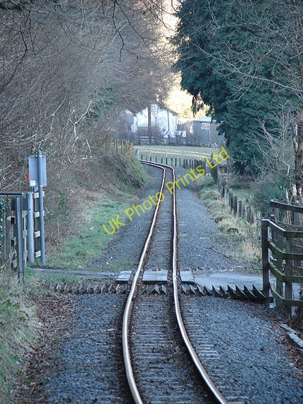 Photo 6"x4" Vale of Rheidol Railway Pant-y-cr\u00fbg c2008