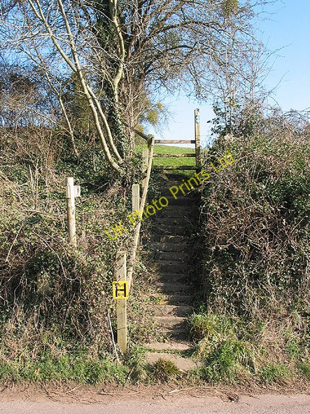 Photo 6"x4" Steps on the footpath Common Hill\/SO5834 c2008