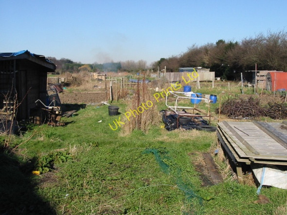 Photo 6"x4" The allotments off Church Lane path Deal c2008