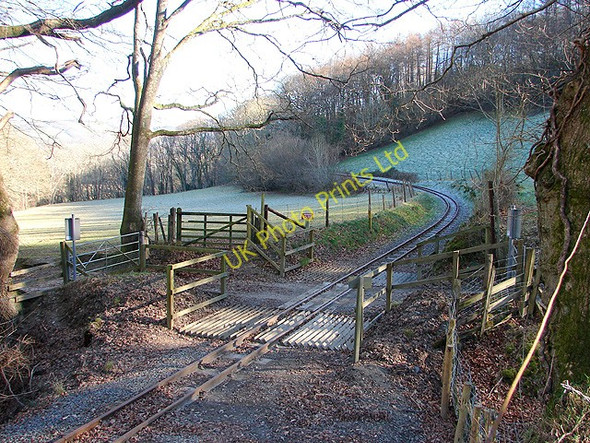 Photo 6"x4" Farm crossing, Vale of Rheidol Railway Nantyronen Station c2008