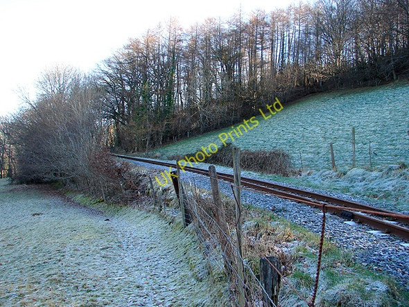 Photo 6"x4" The Vale of Rheidol Railway Nantyronen Station c2008