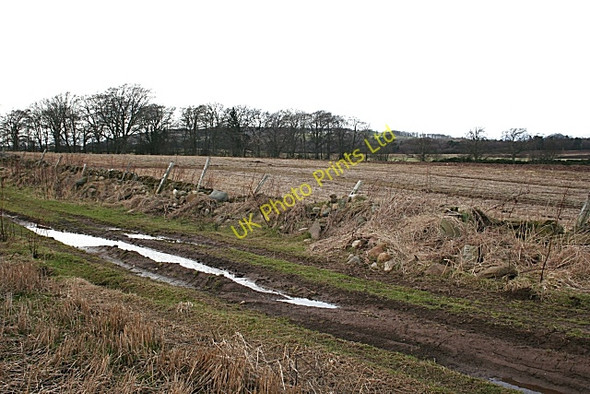 Photo 6"x4" Near Woodside Whigstreet c2008