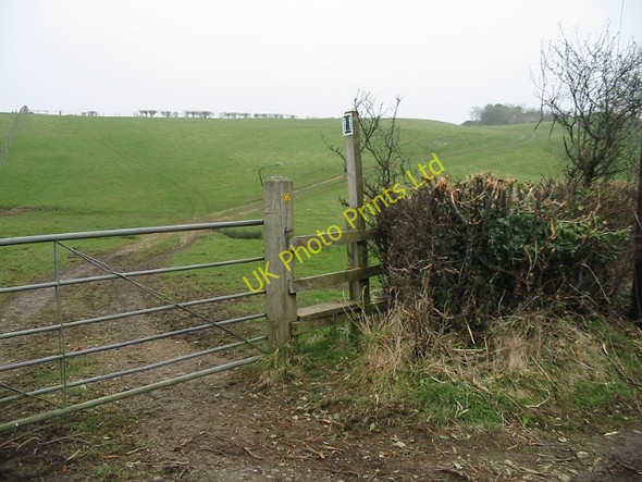 Photo 6"x4" Footpath across the fields to the SW of Priston Priston c2008