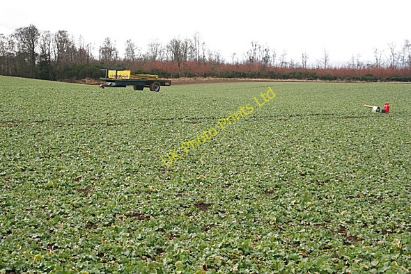 Photo 6"x4" Field at Burnside of Tulloes Whigstreet c2008