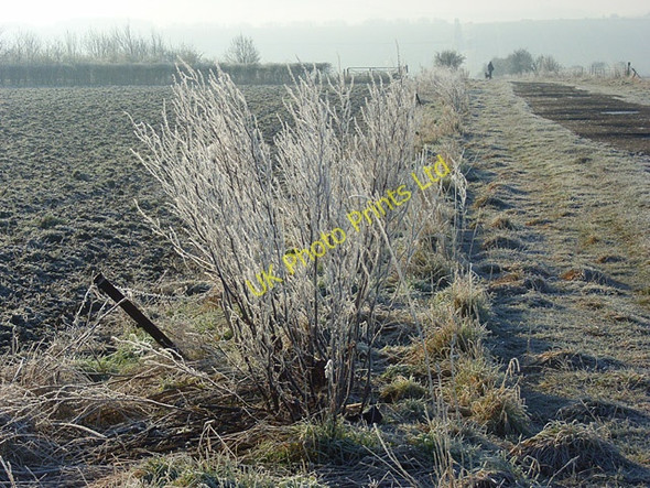 Photo 6"x4" Track and farmland, Lockinge Wantage c2008