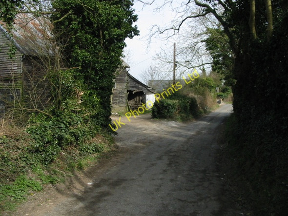 Photo 6"x4" Looking NE along Chapel Lane Ashley\/TR3048 c2008