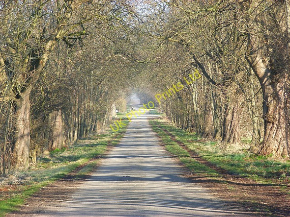 Photo 6"x4" Farm road, Lockinge Wantage c2008