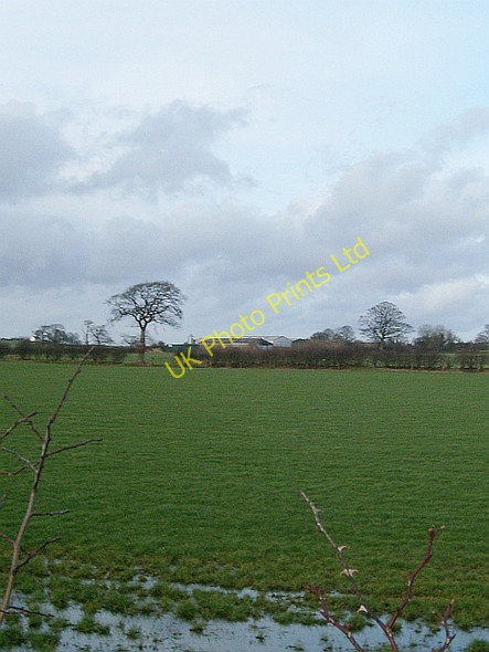 Photo 6"x4" View across fields to East Highberries Farm Laversdale c2008