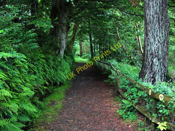 Photo 6"x4" part of the Mines Trail,  Laxey Wheel Agneash c2007