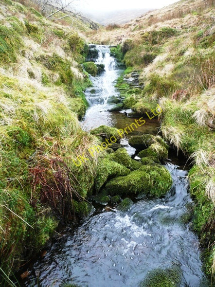 Photo 6"x4" Cwm Clyd Capel-y-ffin c2008