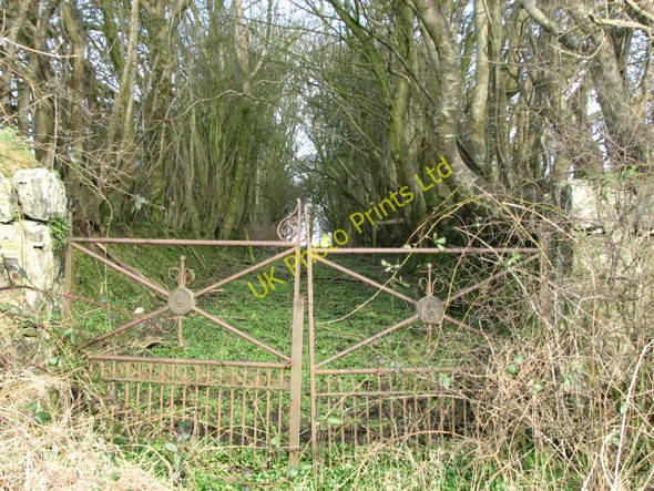 Photo 6"x4" Old gates and laneway Ballybogy c2008
