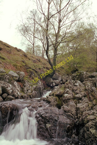 Photo 6"x4" Barrow Beck Dale Bottom\/NY2921 c2000