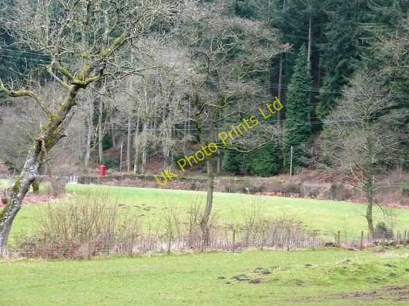 Photo 6"x4" Looking down Grwyne Fawr Partrishow c2008