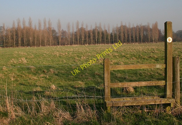 Photo 6"x4" Stile and Poplars Berrow\/SO7934 c2008