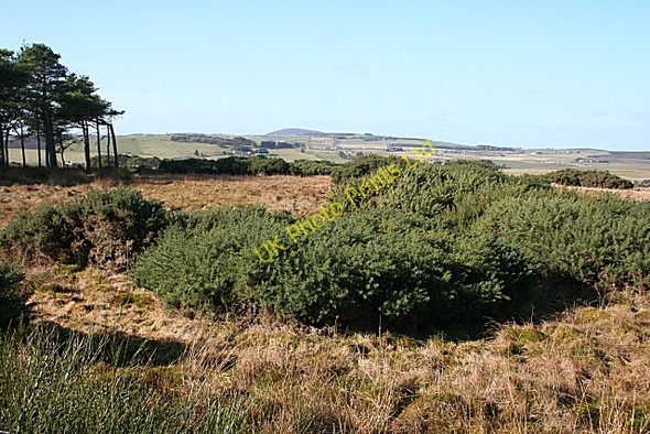 Photo 6"x4" Auchintoul Moss Aberchirder c2008