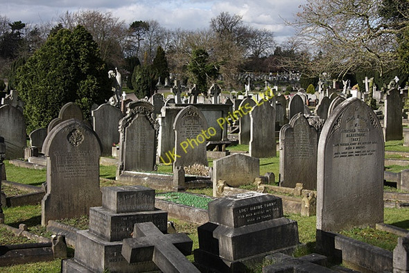 Photo 6"x4" Marylebone Cemetery Finchley c2008