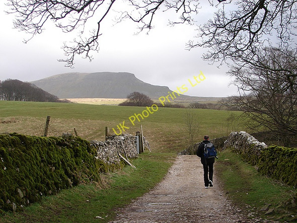 Photo 6"x4" The Pennine Way Brackenbottom c2008
