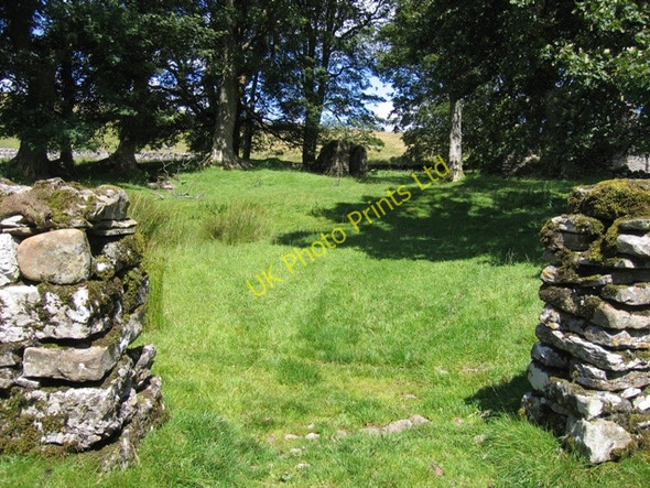 Photo 6"x4" The house enclosure at Thorns Ribble Head\/SD7779 c2007