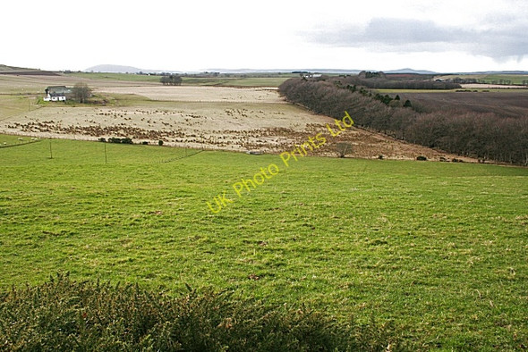Photo 6"x4" Muiryhill from Hill of Ryland Blacklaw\/NJ6355 c2008