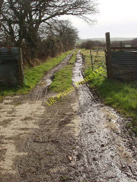 Photo 6"x4" Track to Greena Moor Nature Reserve Week Green c2008