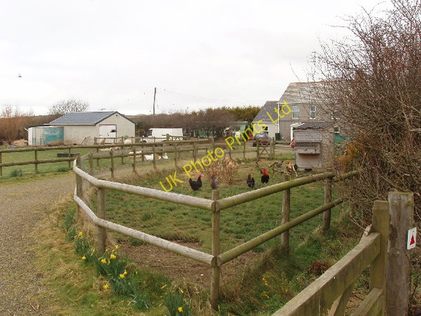 Photo 6"x4" House and hen run by Small Hill Barton Collamoor Head c2008