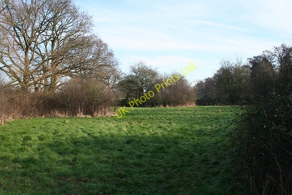Photo 6"x4" Meadow near Tuck Mill Brotheridge Green c2008