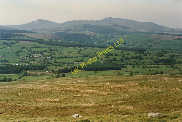Photo 6"x4" Slopes below Moel Ddu Rhosdylluan c1996