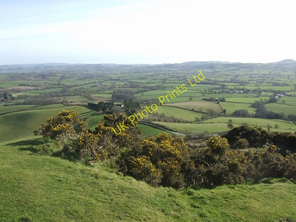 Photo 6"x4" Outer Ring at Pilsdon Pen Templeman's Ash c2008
