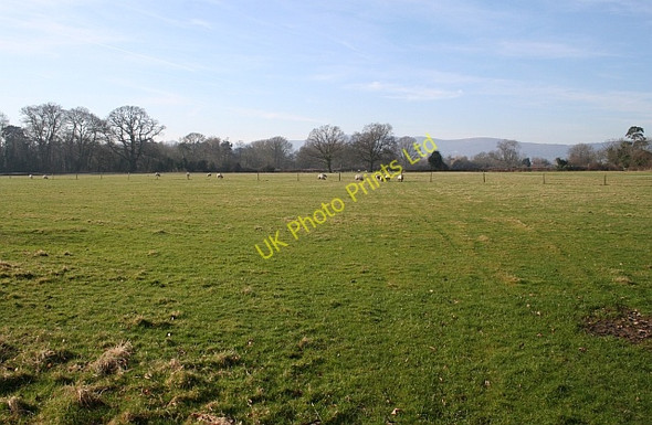 Photo 6"x4" Sheep Pasture near Hanley Hall Hanley Swan c2008