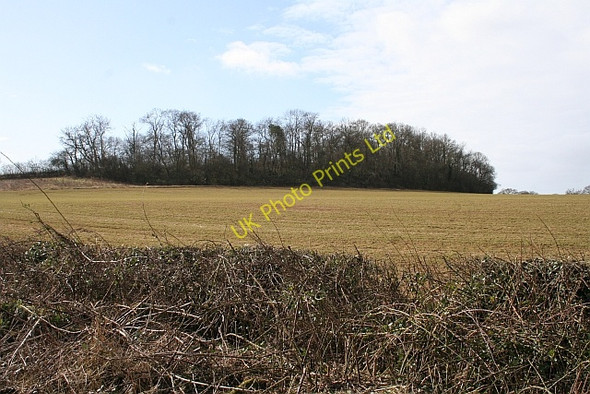 Photo 6"x4" Berrow Wood Berrow\/SO7934 c2008