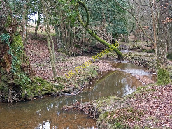 Photo 6"x4" Highland Water running south the A31 at Ocknell, New forest Stoney Cross c2008