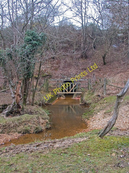 Photo 6"x4" Highland Water stream emerges from culvert beneath A31 at Ocknell Stoney Cross c2008