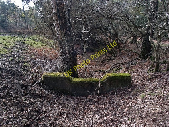 Photo 6"x4" Drain on northern side of A31 at Ocknell, New Forest Stoney Cross c2008