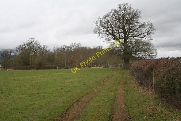 Photo 6"x4" Track to Lower Hook Duckswich c2008