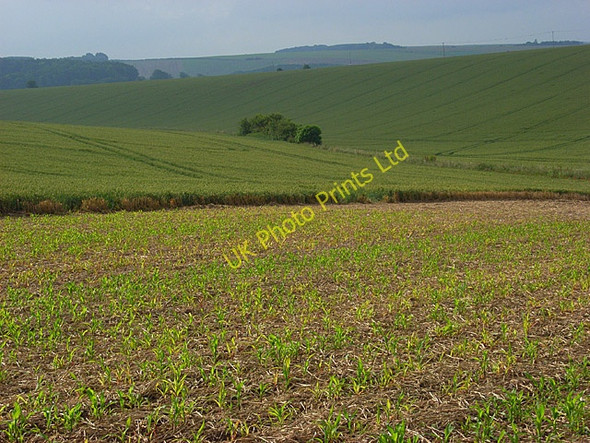 Photo 6"x4" Farmland, Berwick St James Berwick St James c2007