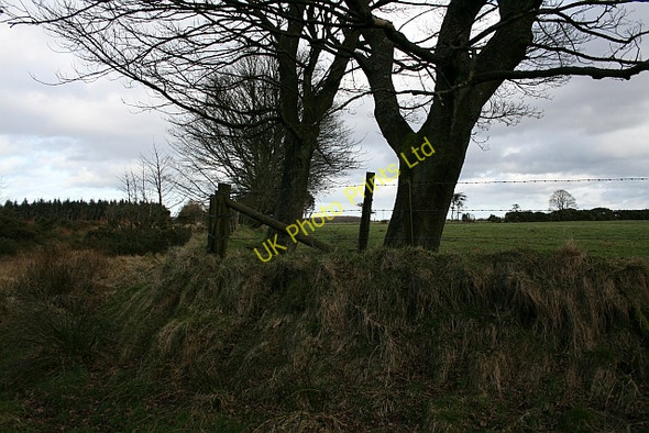 Photo 6"x4" Field Corner at Brown Howe Stape c2008