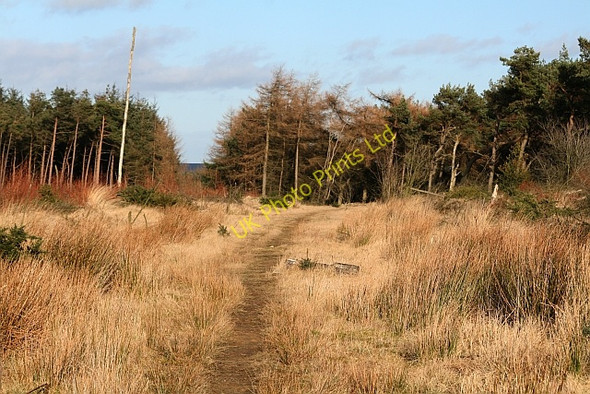 Photo 6"x4" Blawath Road Stape c2008