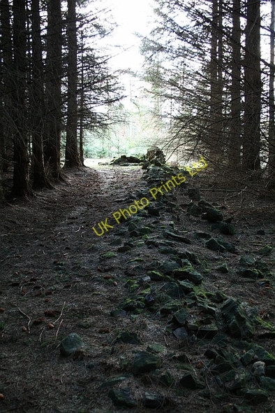 Photo 6"x4" Ruined Drystone Wall on Esp Rigg Stape c2008