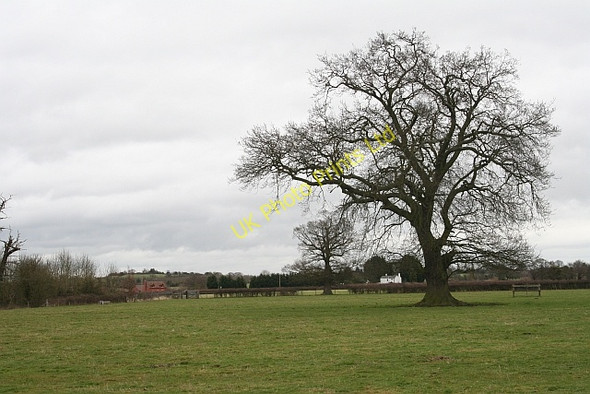 Photo 6"x4" Houses on the A4104 Duckswich c2008
