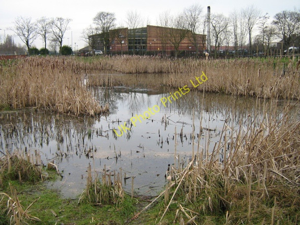 Photo 6"x4" Scott Road wildlife pond Selby c2008
