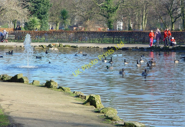 Photo 6"x4" The Lake, Pearson Park Kingston upon Hull c2008