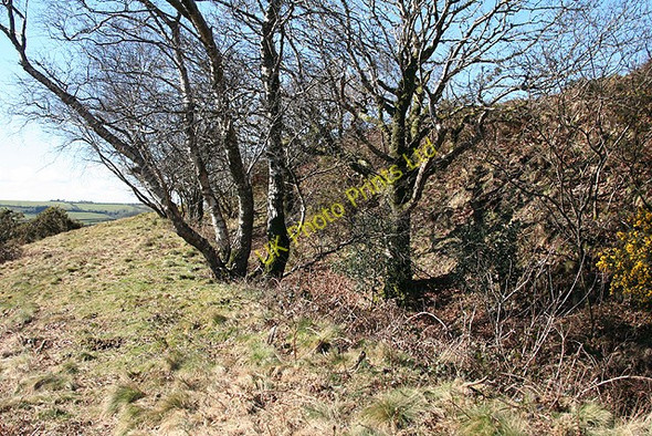 Photo 6"x4" St Ive: Cadsonbury Frogwell\/SX3468 c2008