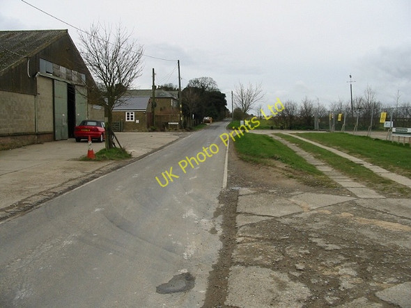 Photo 6"x4" Looking S along Seamark Road from Monkton Road Farm Brooks End c2008