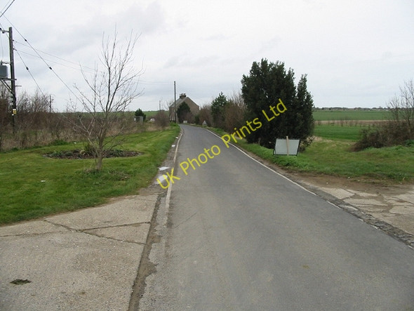 Photo 6"x4" Looking N along Seamark Road Brooks End c2008