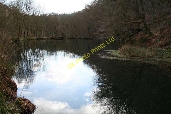 Photo 6"x4" Holding Pond, Hebden Dale Shackleton c2008
