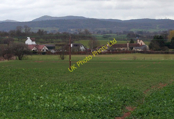 Photo 6"x4" Fields of Much Marcle Much Marcle c2008