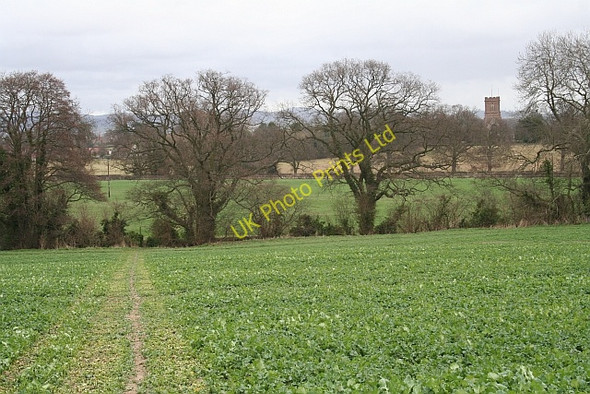 Photo 6"x4" Path to St Bartholomew's Church Much Marcle c2008