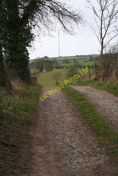 Photo 6"x4" Lane from Ryemeadows Rushall\/SO6434 c2008