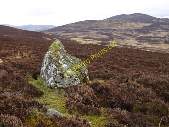 Photo 6"x4" Boulder, Carn Dubh Kinnaird\/NN9559 c2008