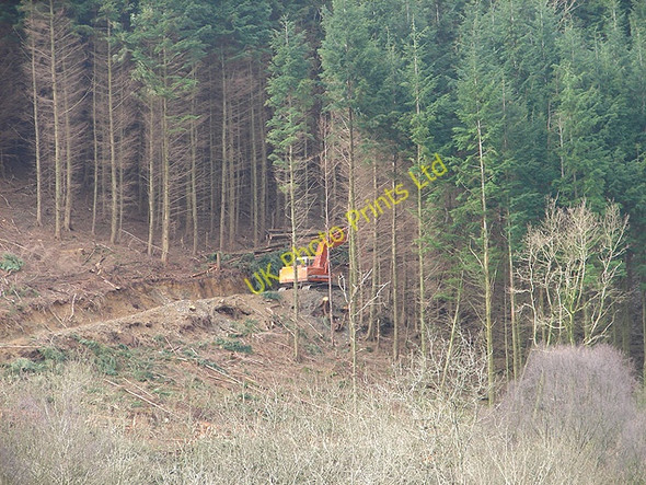 Photo 6"x4" Forestry Clearance Aberffrwd\/SN6878 c2008